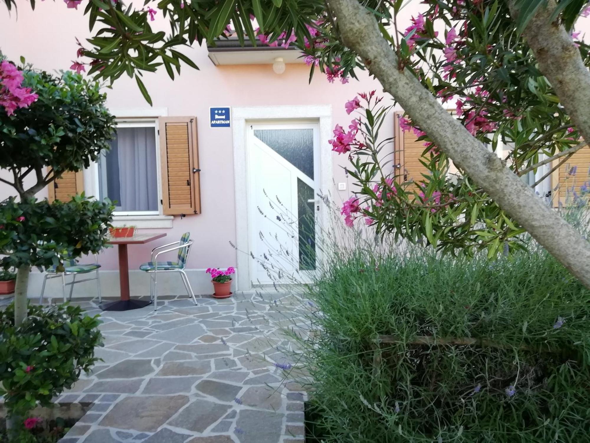 Apartmani Vesna Buje Exterior photo